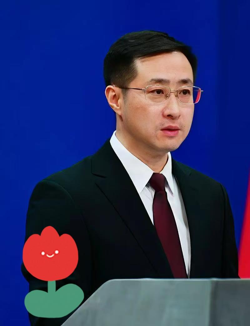 快报，快报外交部宣布11月11日，外交部发言人林剑在例行记者会上回应了欧盟拟