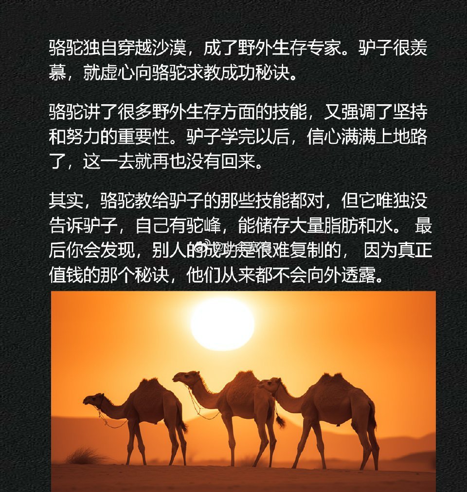 别人的成功是很难复制的