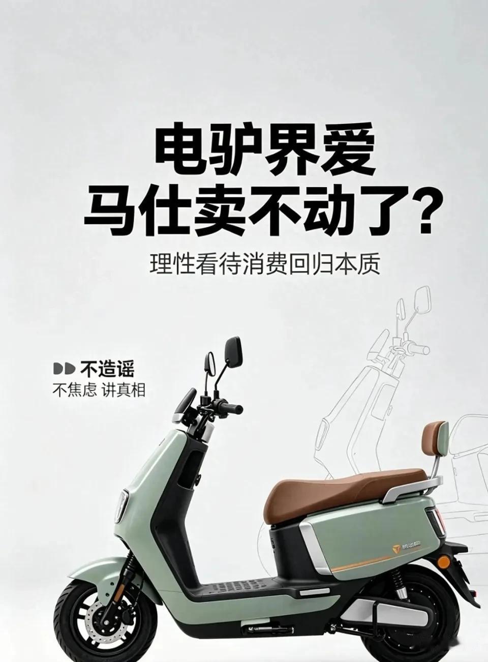 42万辆电动车，停在仓库里没人要。九号公司，那个把电动车卖出智能手表感觉的