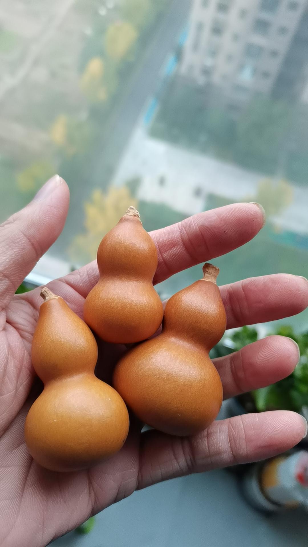 不出意外的话，38岁的我，年底就要提前“退休”了！这几年私募基金行业不景气，