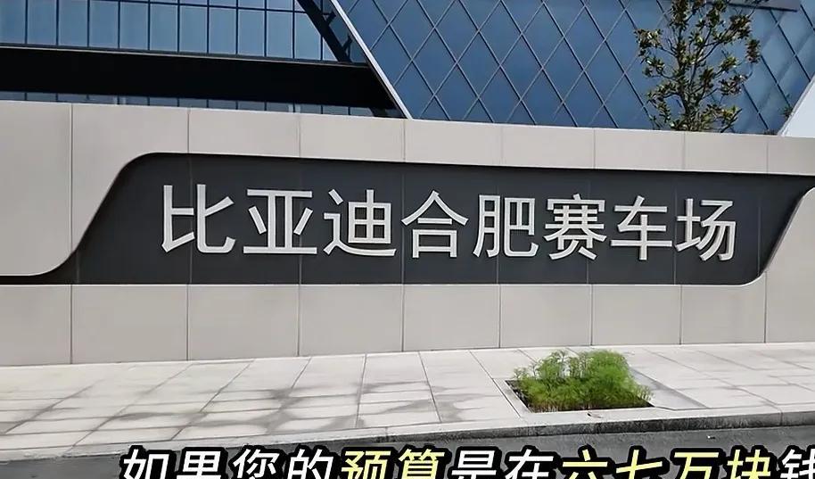 天啦噜，6.98的海鸥都能aeb刹停了，竟然还有自动泊车。[哭哭]近日，在