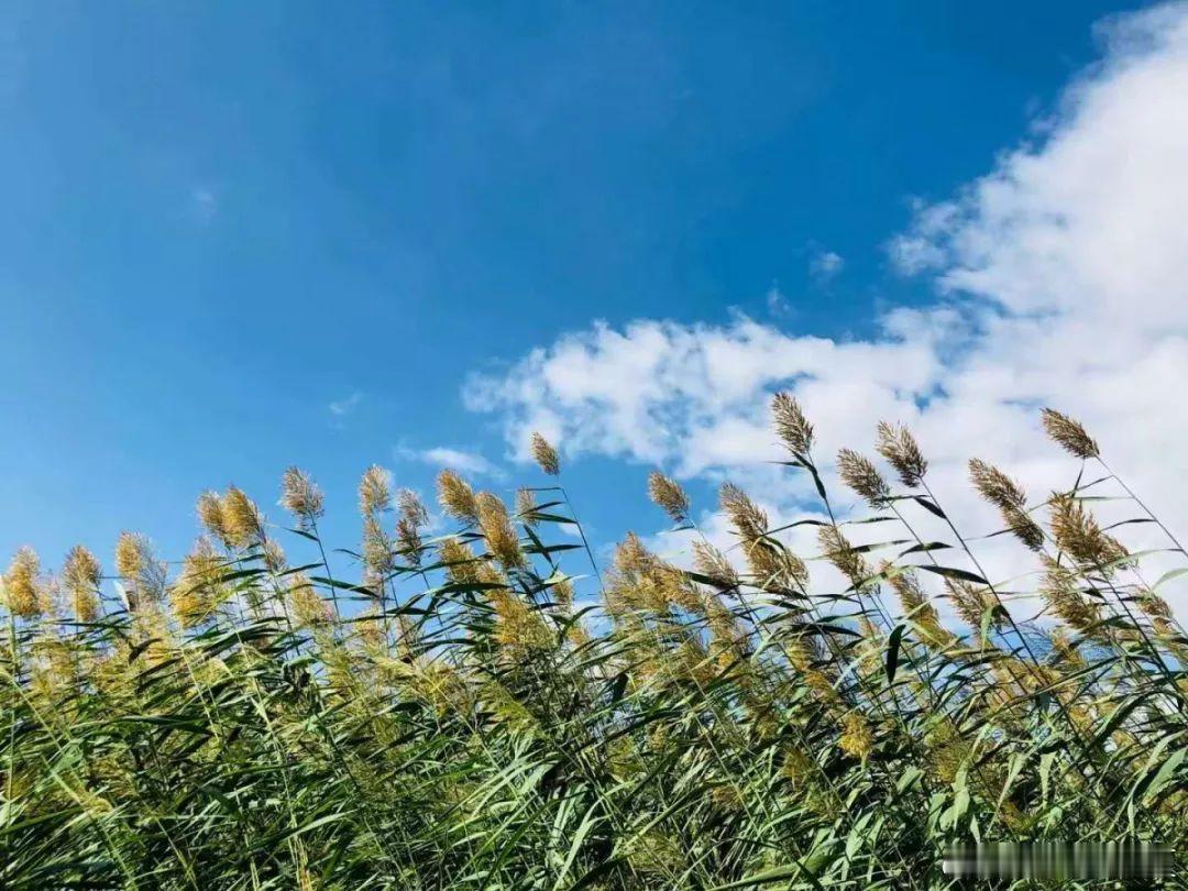 走进自然，才能看见这些不起眼的美好～​​​