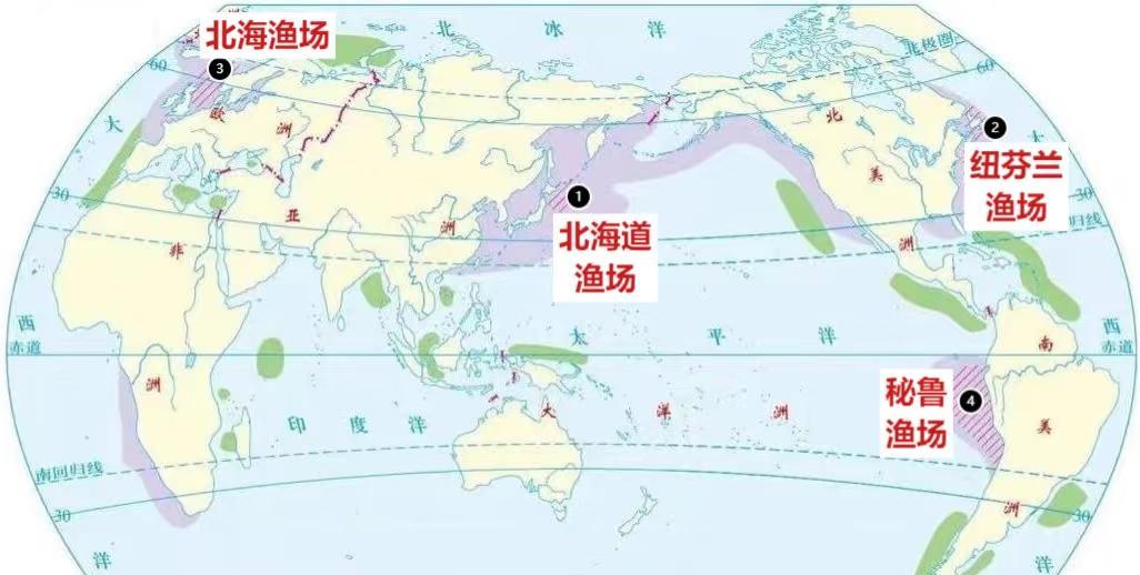 世界四大渔场！①北海道渔场：日本暖流、千岛寒流交汇②纽芬兰渔场：墨西哥湾