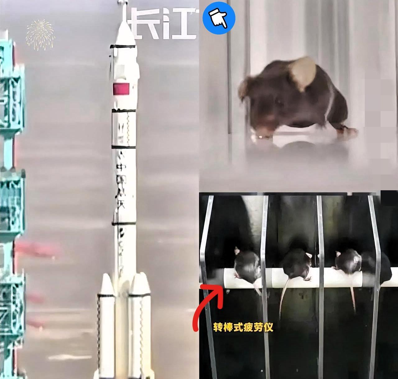 这下出名了，不仅中国，连全世界都知道了，除了三名航天员飞上太空，另外还有