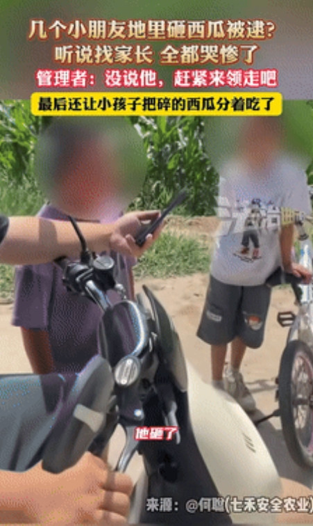 笑翻了！”浙江台州，几个小男孩在瓜田里砸西瓜被抓个正着，一听说要叫家长，吓得哭得