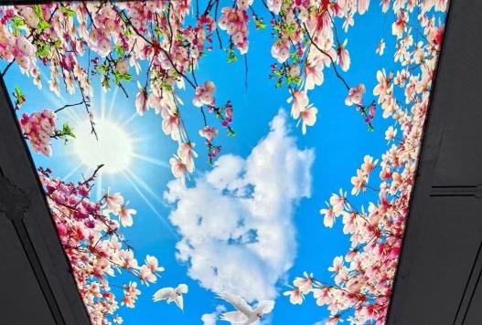 我家装修那会儿，设计师劝我：客厅不吊顶？太寒酸了吧！邻居也笑我：连吊顶都舍不得做