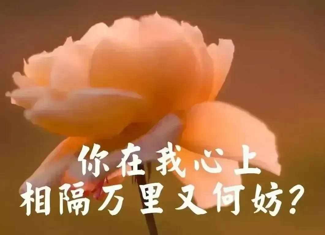 人遇人遇的是缘分人想人想的是真情人交人交的是人心人爱人爱的是感情
