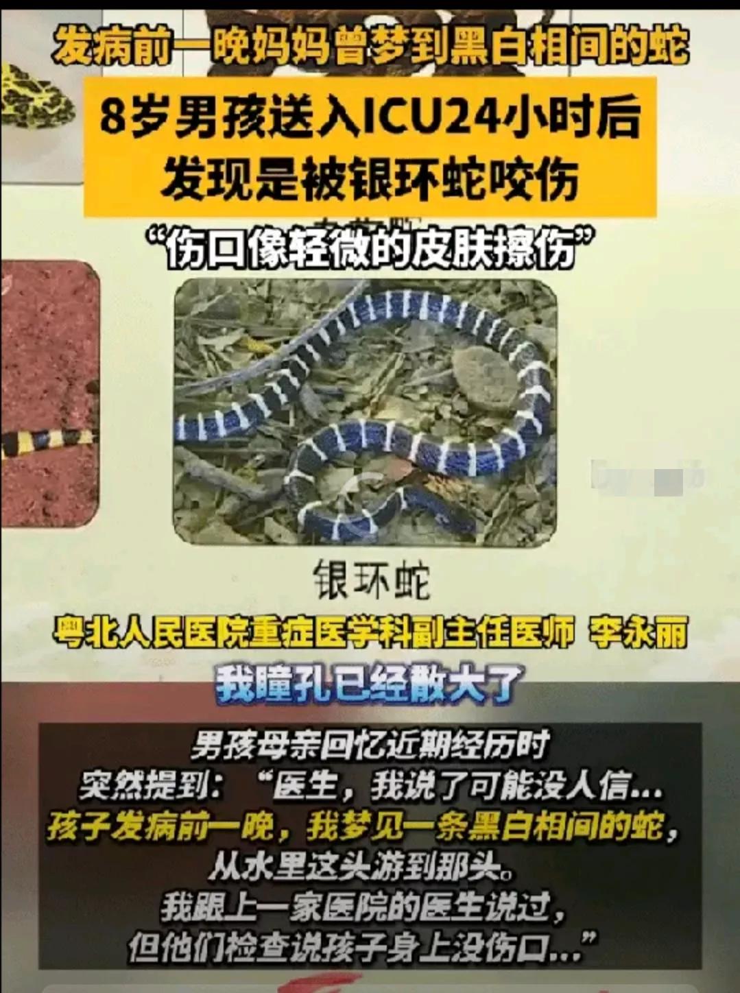 8岁男孩突陷深度昏迷！妈妈一句“梦到黑白蛇”竟藏致命真相“连医生都查不出原