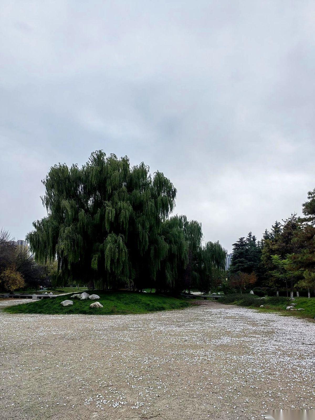 我一亲戚家的孩子，今年高考，刚过三本线，要去复读了。谁能想到呢？他当年可是他爸