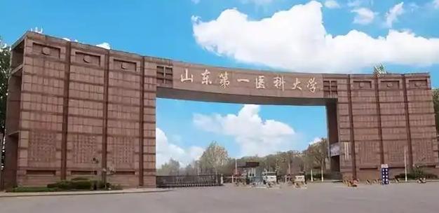 山东第一医科大学和山东大学齐鲁医学院哪个是山东医学老大？复旦版认为是山一医，您觉