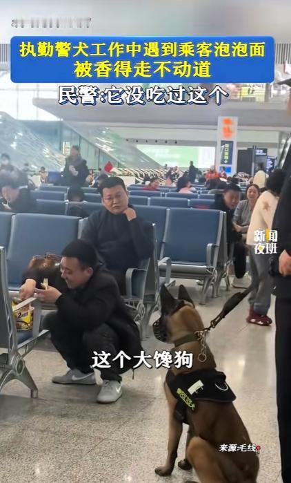 “笑不活了！”2月1日，陕西西安，一男子在火车站候车时，觉得有点饿，便泡了桶泡面