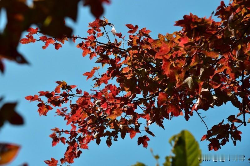 “人情薄如纸，冷暖自知！”我们村上有一位老人去世了，在新疆打工的儿子连天连夜的从