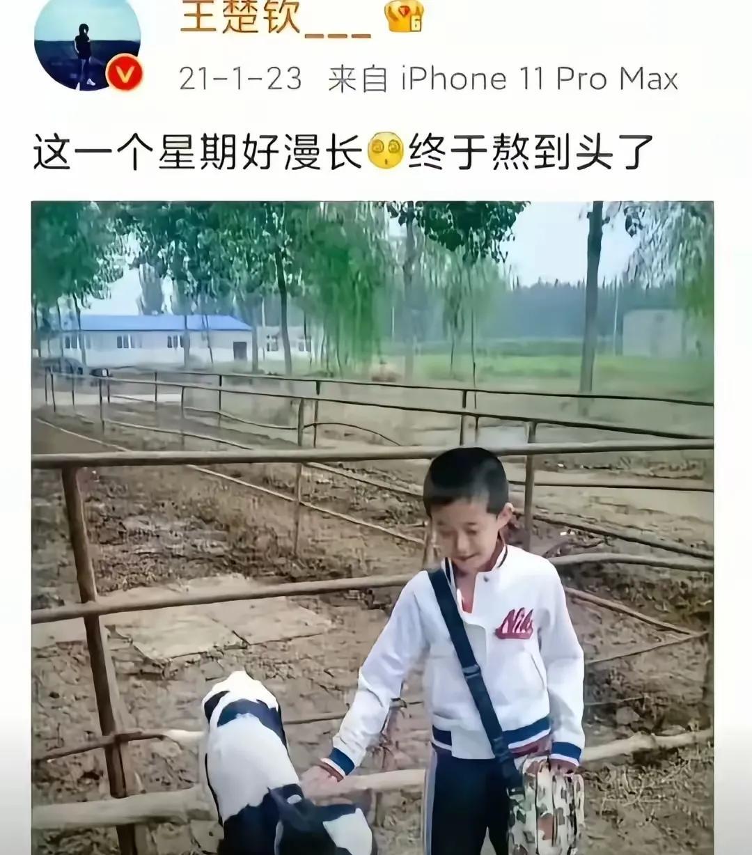 王楚钦你这次敢不敢再来个感叹？这次是十天可比一个星期还多你准备咋熬呀？你看人家