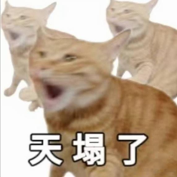 啥意思啥意思啥意思​​​
