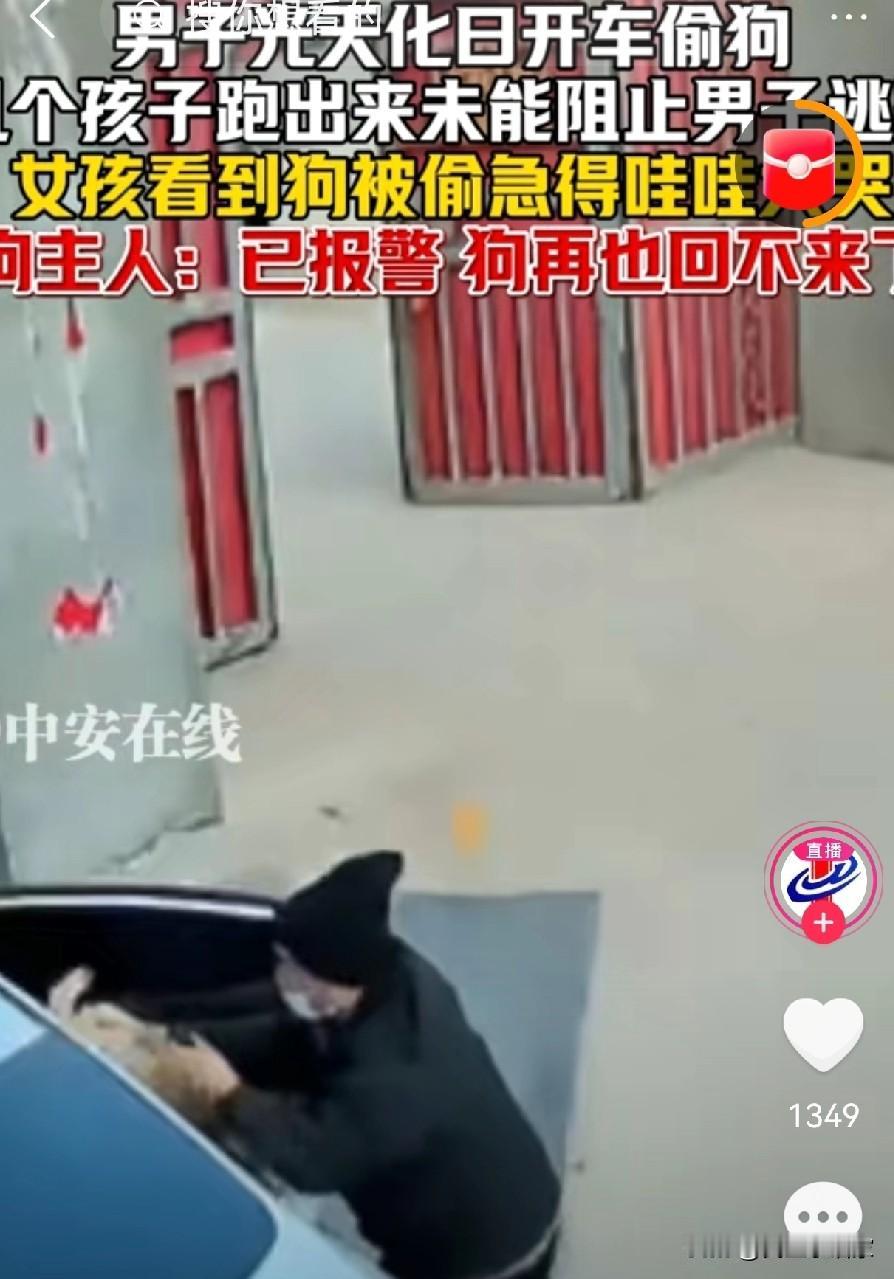 天冷了，吃狗肉的团伙来了，家里有狗的一定要牵绳看好了，尽量别带出门了，这不，近日