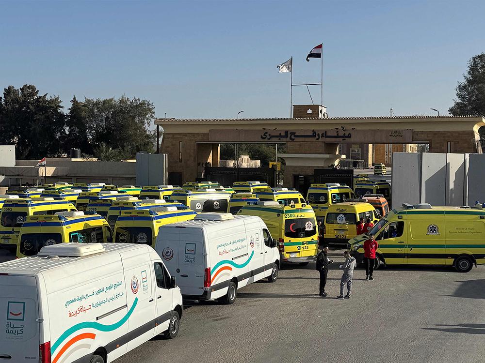 加沙和埃及之间只有一个主要的陆路通道，叫拉法口岸。这个口岸从2024年5月以色