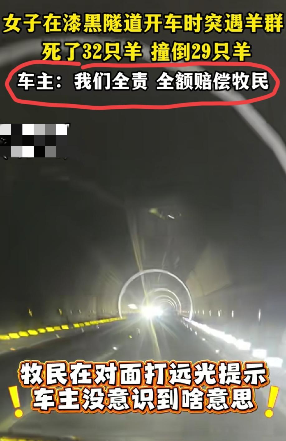 女子驾车在隧道内行驶时突遇羊群，撞倒了29只羊，赔了牧民32只！视频中，牧民