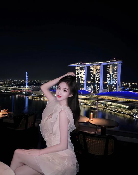 新加坡🇸🇬米其林VUE