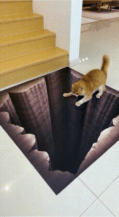 网友家的大橘猫，平时在家称王称霸、上天入地，胆子大到没边，结果今天直接被一张3D