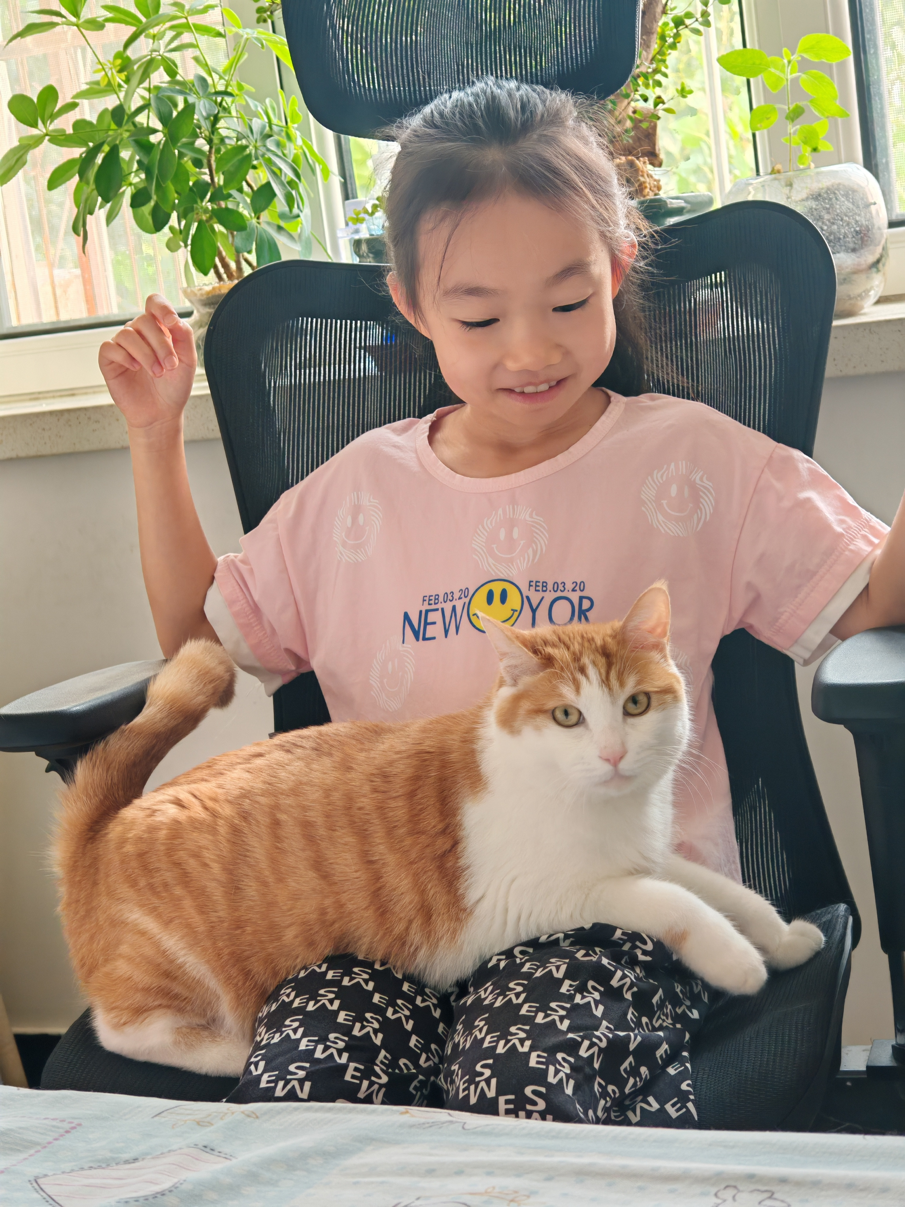 15斤的小猫把床睡塌了跟我家小橘子差不多一样重，这哪是猫啊，跟个小老虎似的。天天