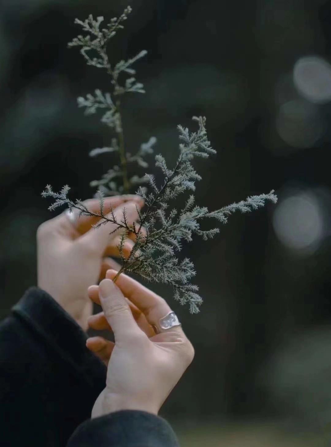 网络上有一段话说的很有道理：“不让任何人知道你的动态，要做到真正的销声匿迹。真正