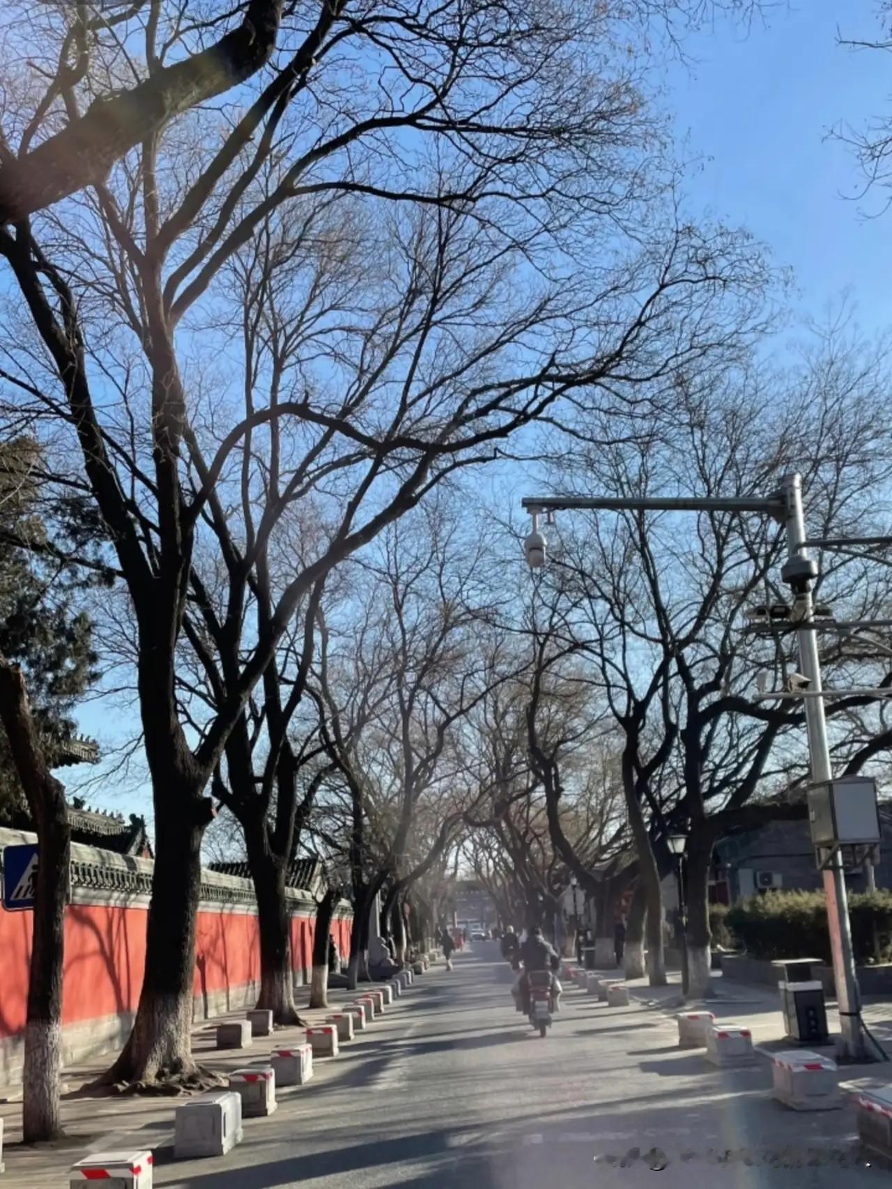 提前通知，上班的朋友们注意了！明天开始，咱们要迎来长达17天的“极寒模式”。