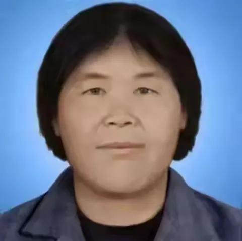 成功抓获梅姨，是利用现代科技的典型案例。自梅姨藏匿后，线索很少，侦破工作一筹莫展