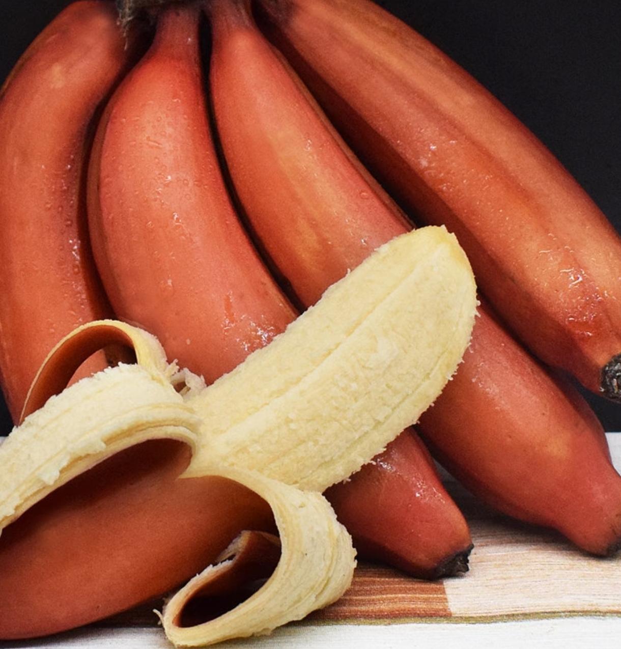 香蕉快灭绝？你有没有发现，超市里的香蕉永远一个味道？不用挑不用选，口感甜度都差不