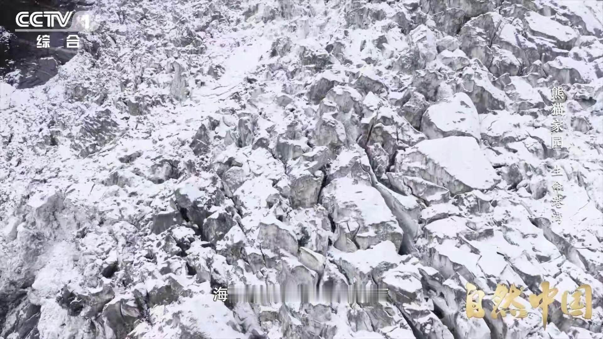 四川有一种脏脏包冰川书上看的冰川是纯净的白色，眼前的海螺沟冰川是灰褐色的。它不