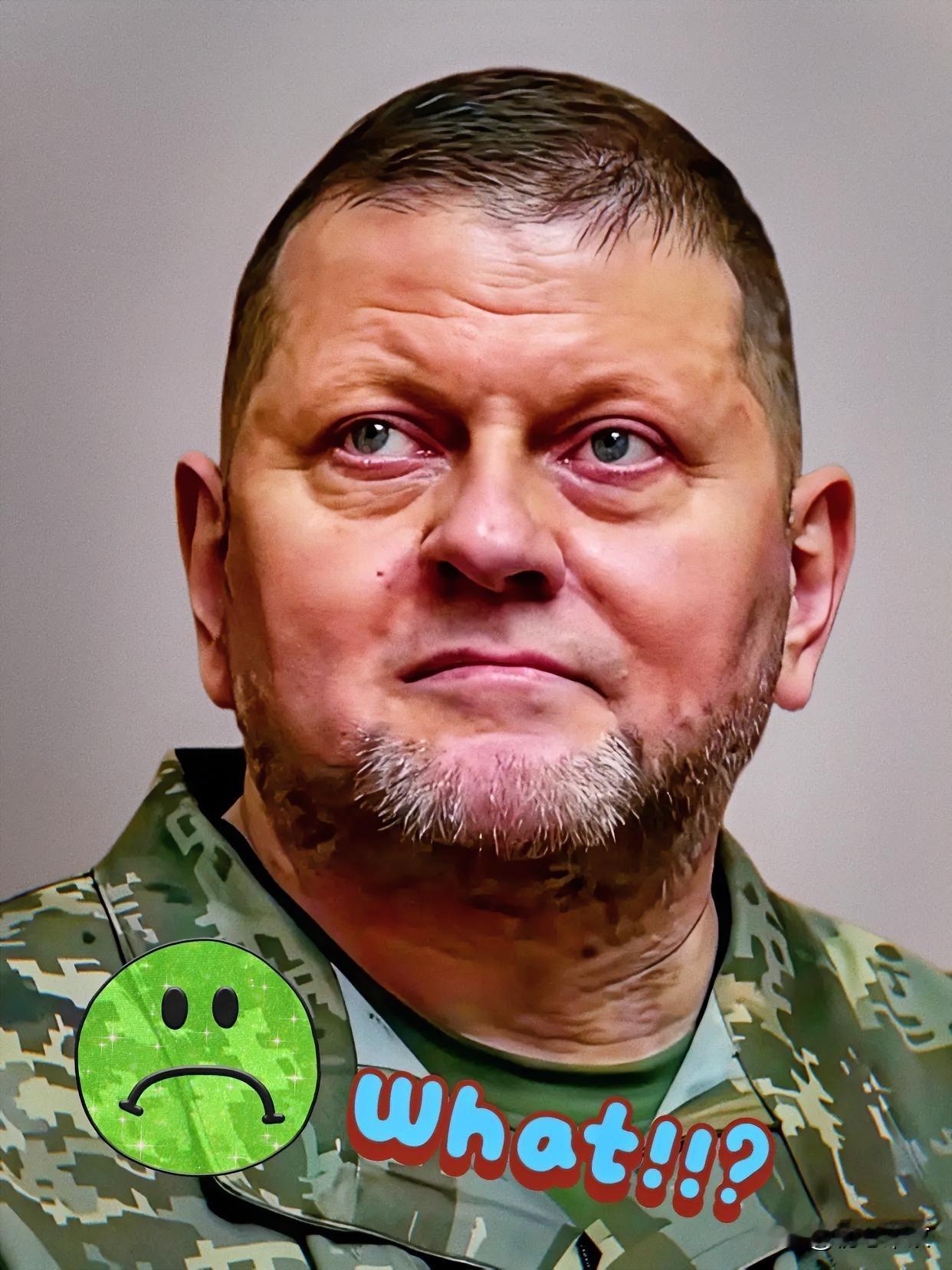 仗打完了，事儿就完了？12月16日，乌克兰前总司令扎卢日内发出警告：等俄乌冲突一