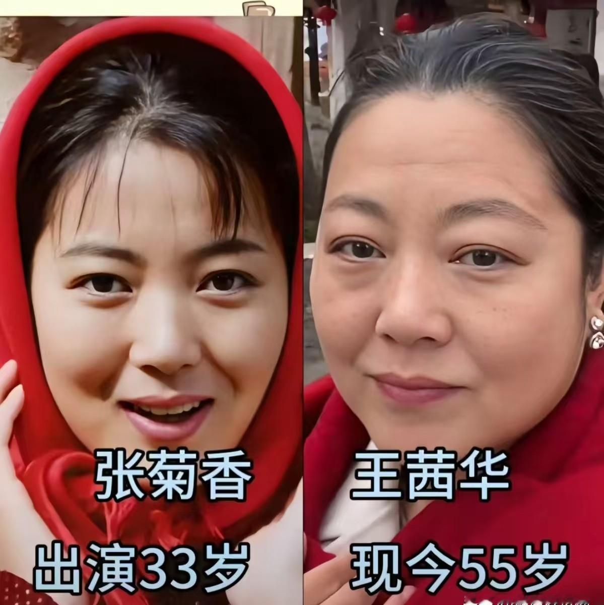 20年前那部农村剧，豆瓣8.0，主角们如今都怎样了？王茜华，那个泼辣的“菊香”