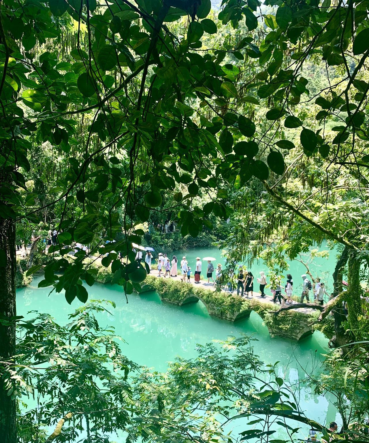 昨天是在贵州旅游的第三天，主要游览的景点是荔波小七孔。前天下午参观完黄果树瀑布