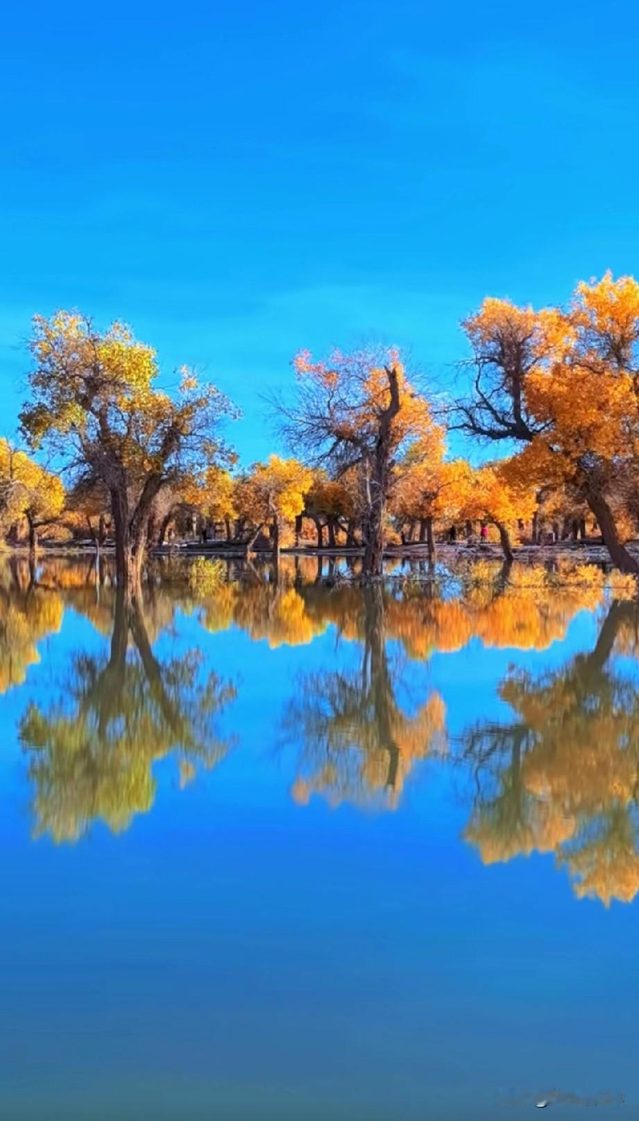 胃癌后的生活，今天和胃癌战友分享下抗癌的食物，十字花科蔬菜。新华社也在介绍：十字