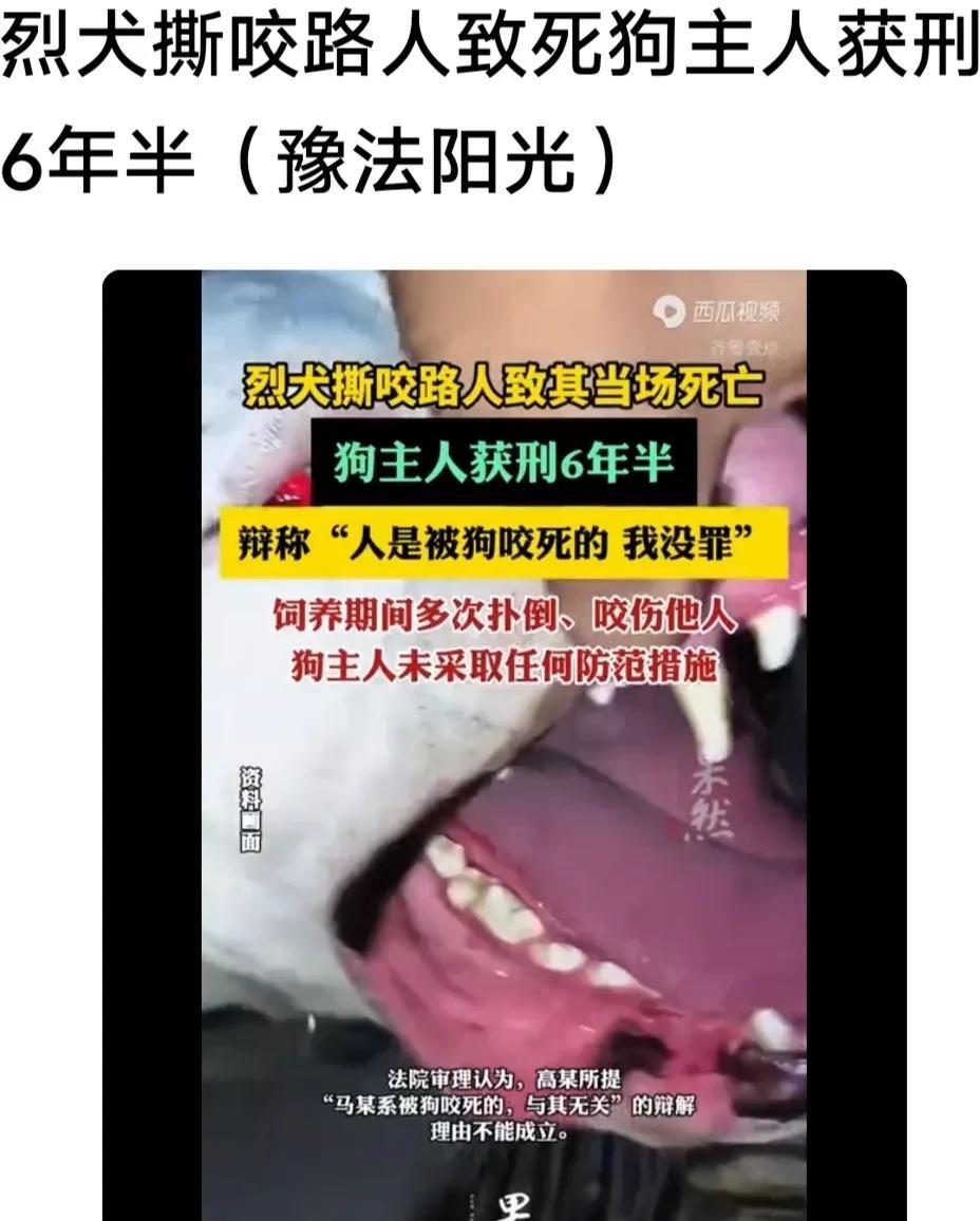 烈犬撕咬路人至亡，狗主人获刑六年六个月。烈犬不能养，咬人容易出事的。这条闯祸的