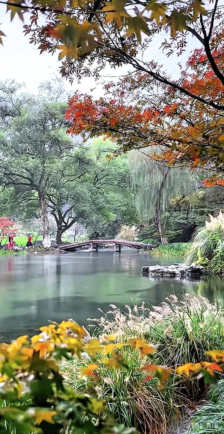 女人一定不要失去工作和赚钱的能力。有许多三十到40岁的二胎宝妈，几乎都是结婚后就