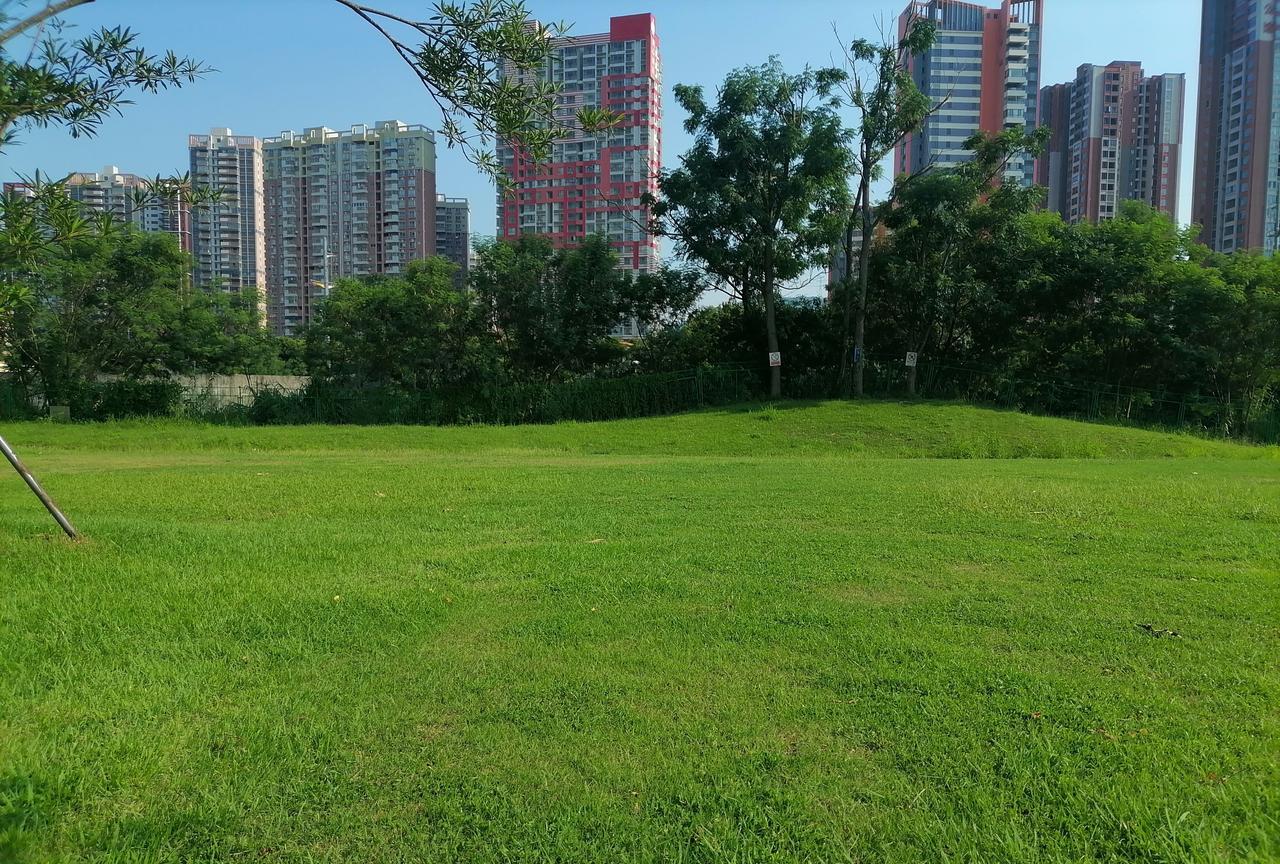 有人说法拍房不能买。法拍房看似便宜，比市场价便宜几十万，可是后续发现很多麻烦。