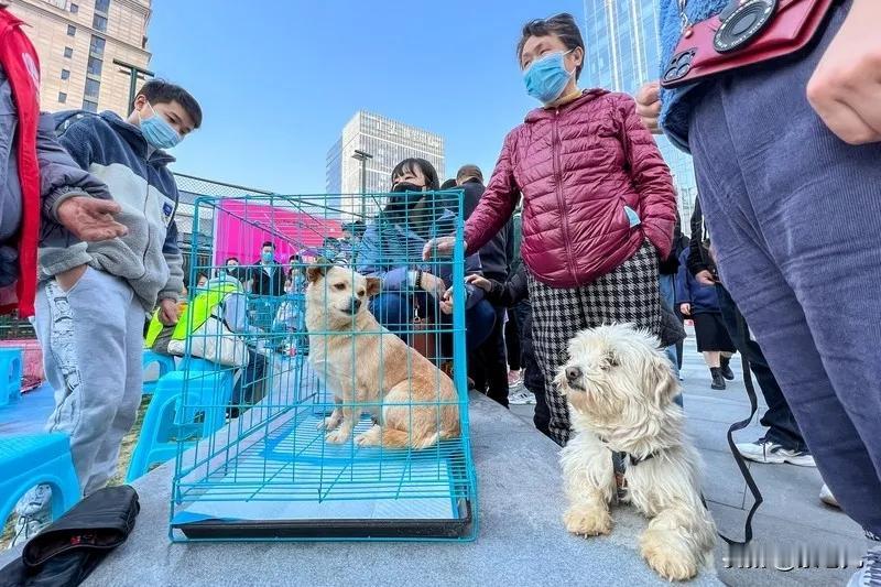 北京大爷的遗嘱曝光，亲戚群炸锅了！他名下两居室，没给伺候过自己的侄子留一分
