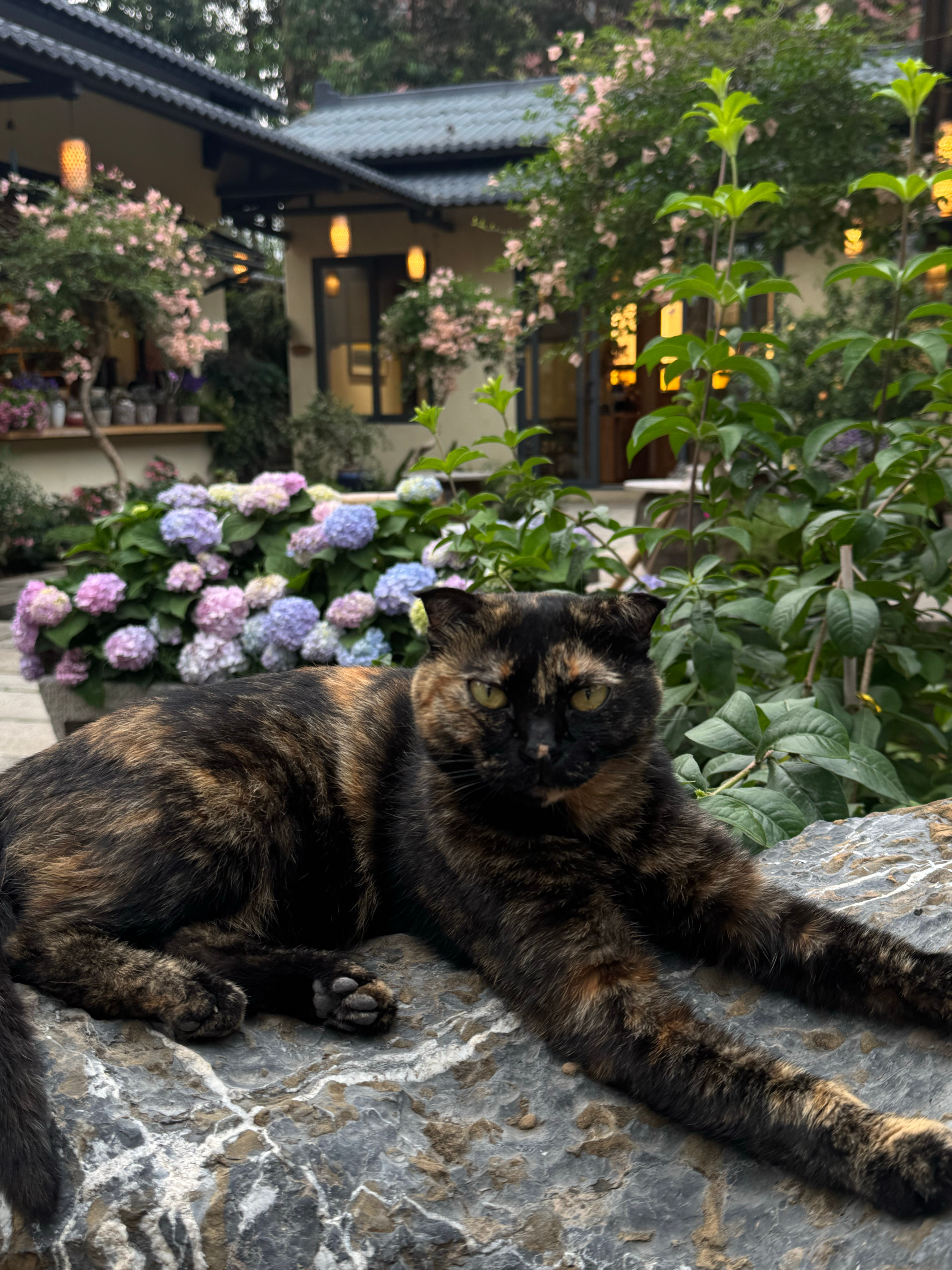 好在是两个人一起无聊