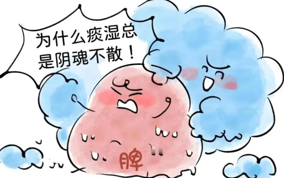 痰湿久了，再用半夏、陈皮化痰已经没用了，第一步要健脾！有没有人被痰湿缠得苦不