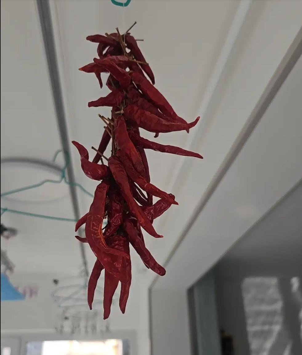 月薪3000交过3000税！39岁失业后，我靠“不涨价”活成赢家那天人事部通知