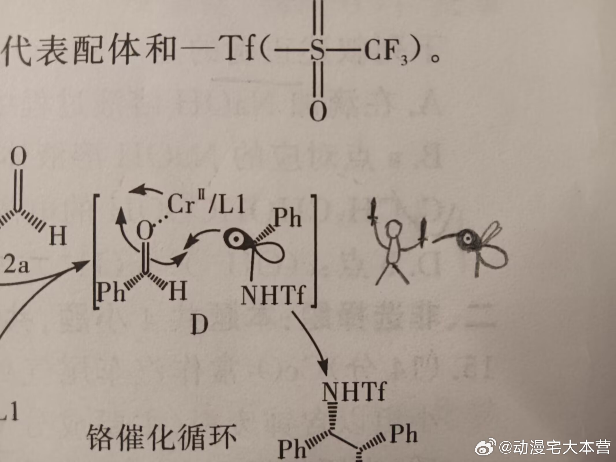 同学：这是什么键啊没见过我：你不觉得这个很像人类大战蚊子吗​​​