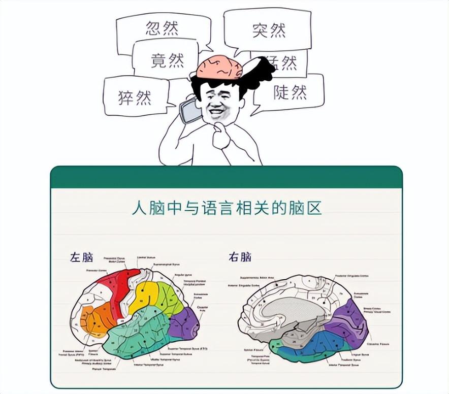 人类和狗已经相处了上万年，为什么人还是听不懂狗叫？ 人类和狗已经一起生活
