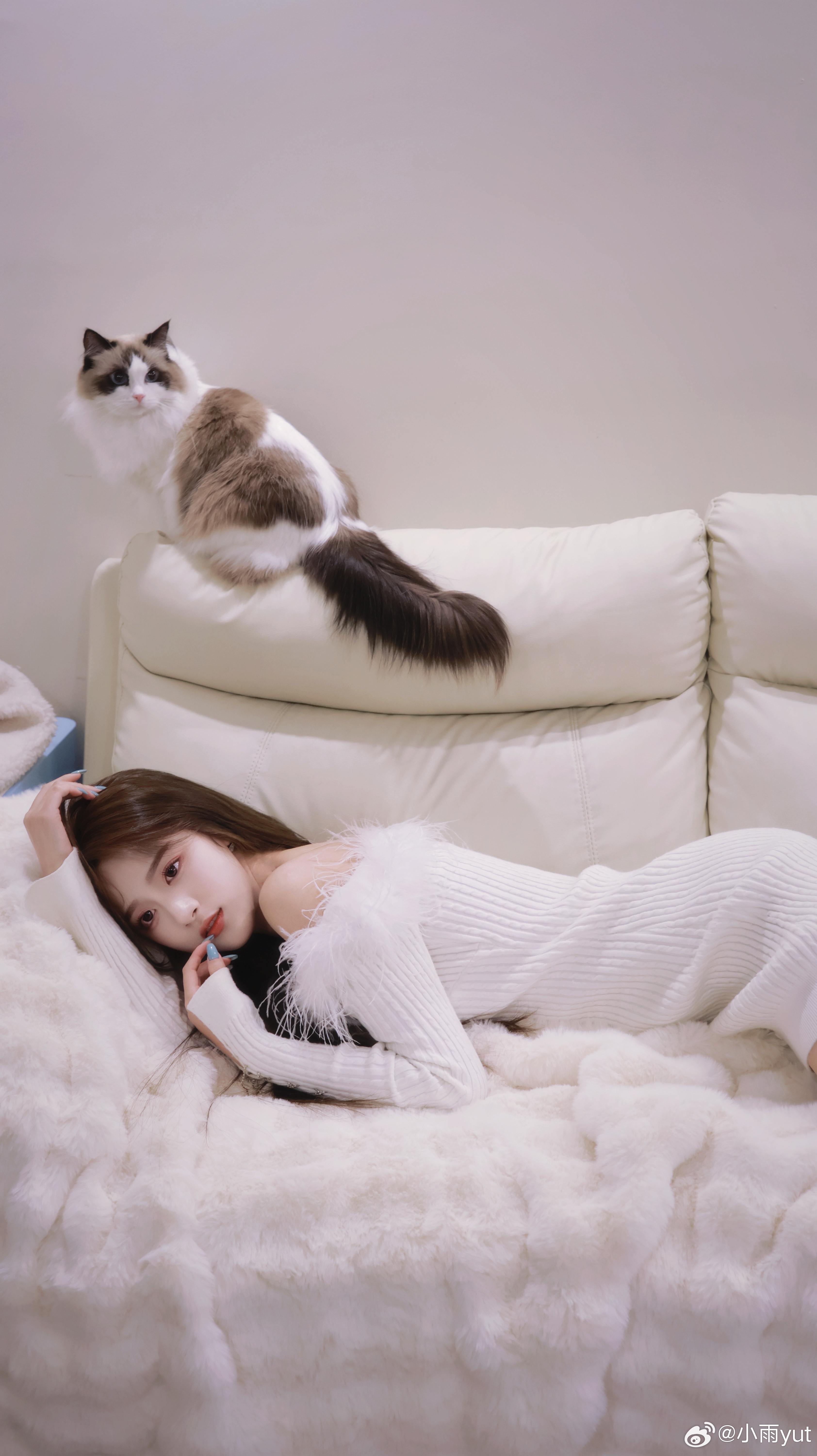 喵～🐈🐾蚌埠