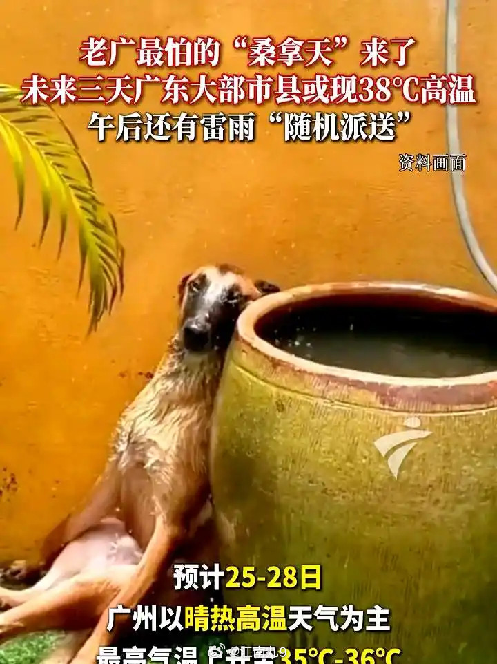 广州体感温度最高近47度广州体感温度飙至47℃！全天候“桑拿房”模式开启.最近这