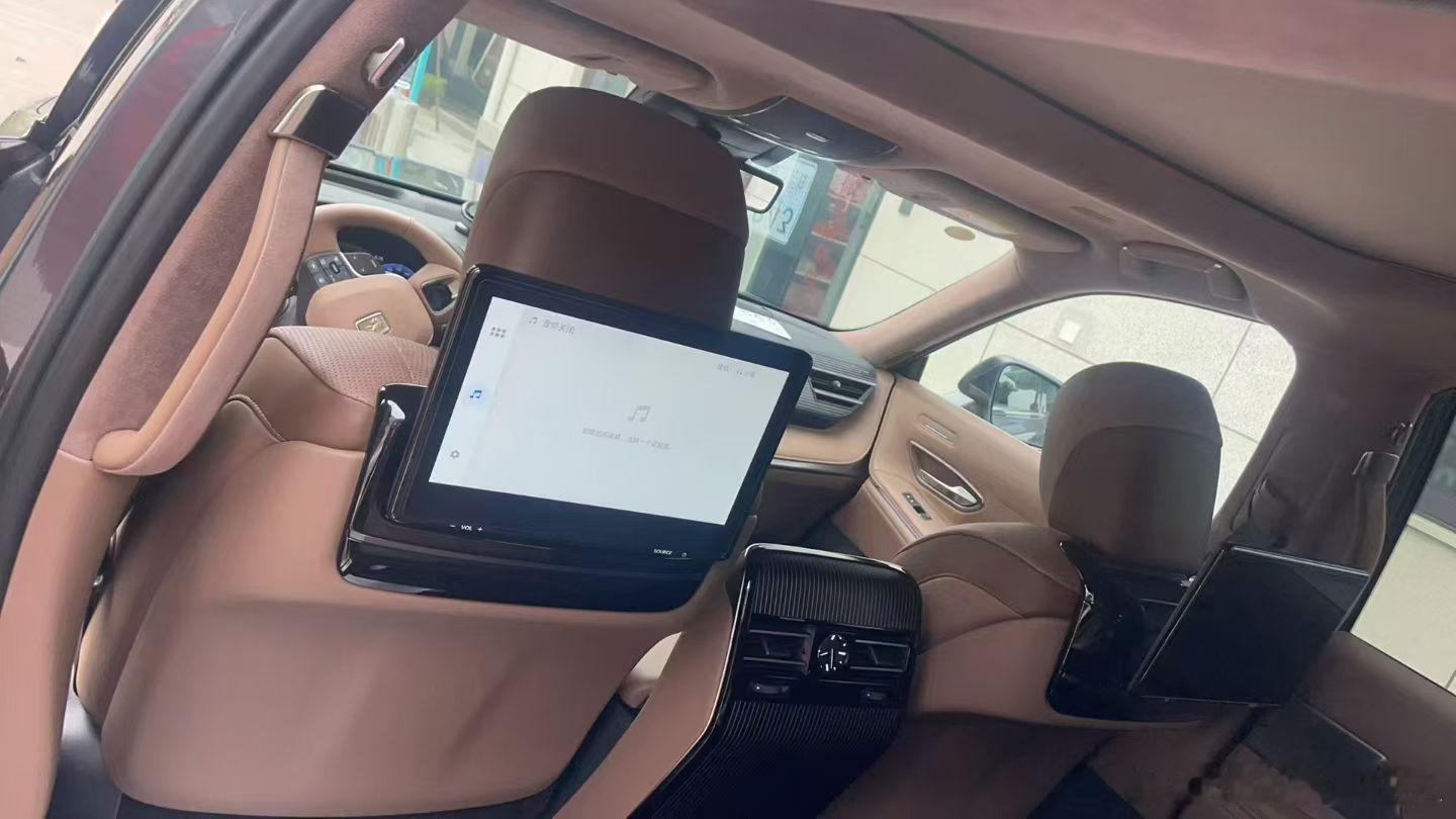 丰田世极加急寻伯乐、远山一色/山吹茶，仅仅6666公里，24年上牌！低调奢华董