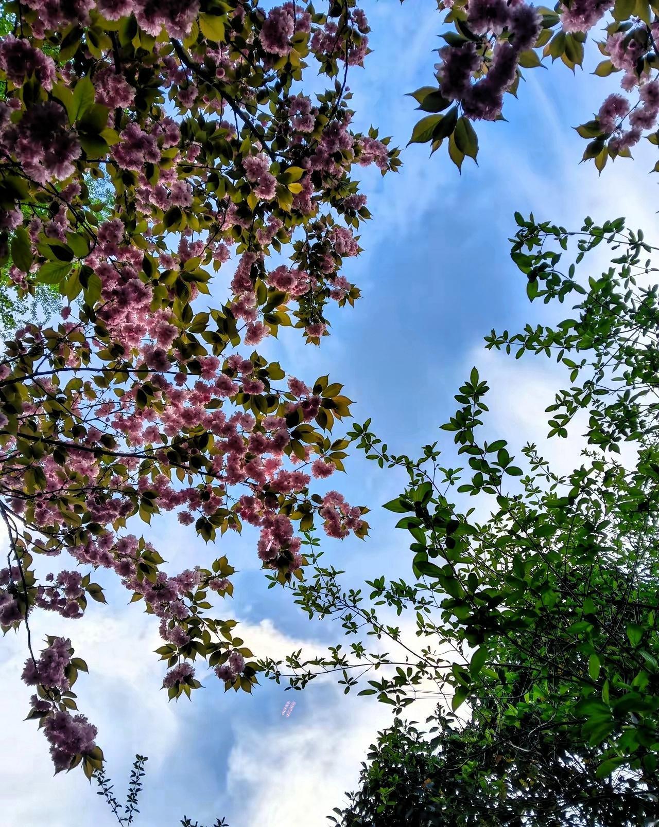 世俗中最难缠的，不是问问题之人，而是带着答案来问你之人。​礼貌说着“想听听你看