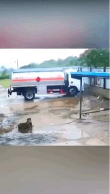 狗子意识到情况不妙然后就垂直起飞了所幸毫发无损