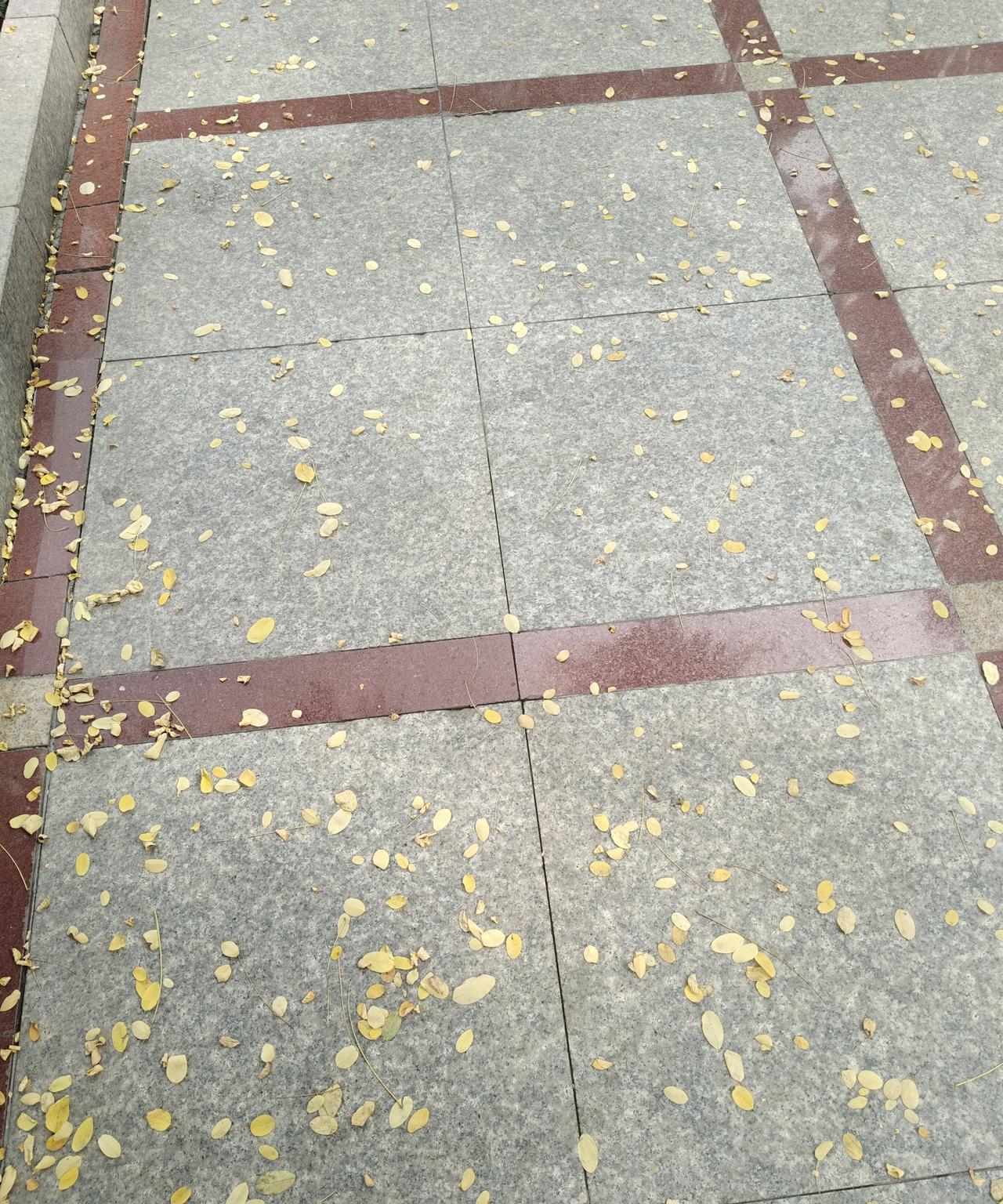 问你个事在你最困难的时候你的精神支柱是什么？是你年迈的父母还是你羽翼未丰