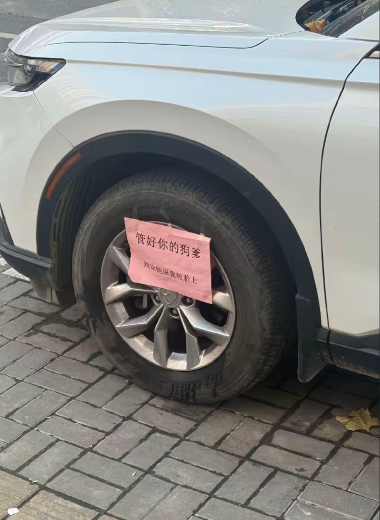 狗子网红打卡点