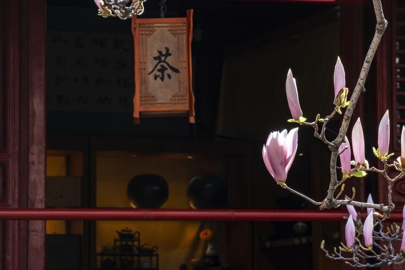 三国时大乔小乔姐妹花可是大美女，大乔嫁给孙策，本风光无限，却在20岁就成了寡妇。